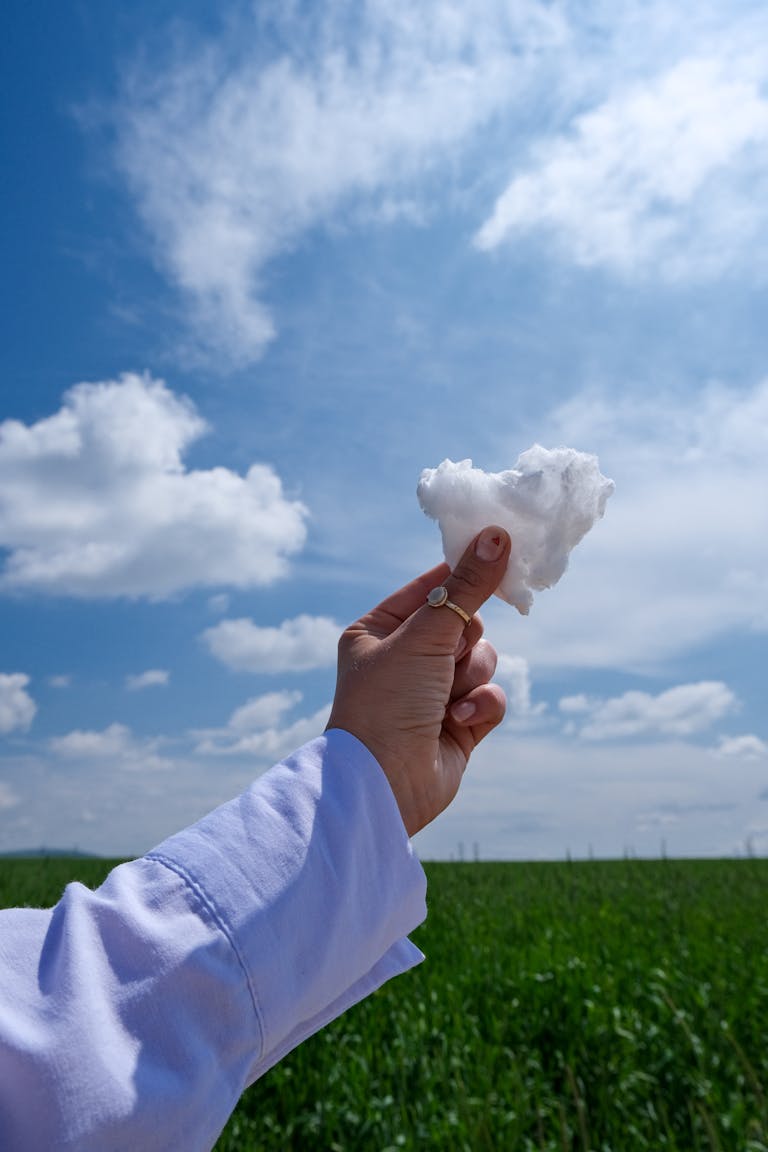 A hand holding cotton with a blue sky backdrop, symbolizing agriculture and rural industry.